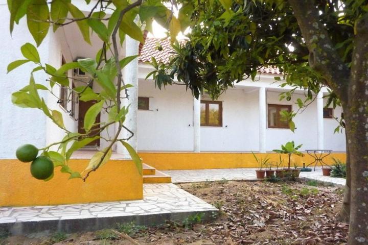 Quinta Laranjal Da Arrabida Bed & Breakfast Palmela Exterior foto