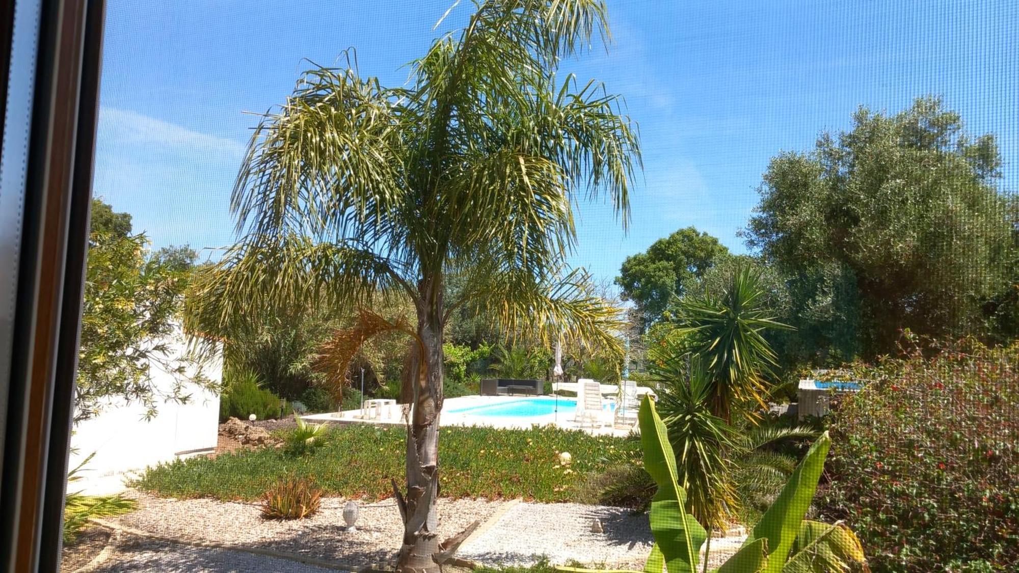 Quinta Laranjal Da Arrabida Bed & Breakfast Palmela Exterior foto